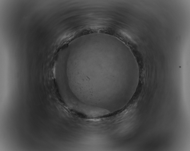 X0000087000917200704161521
