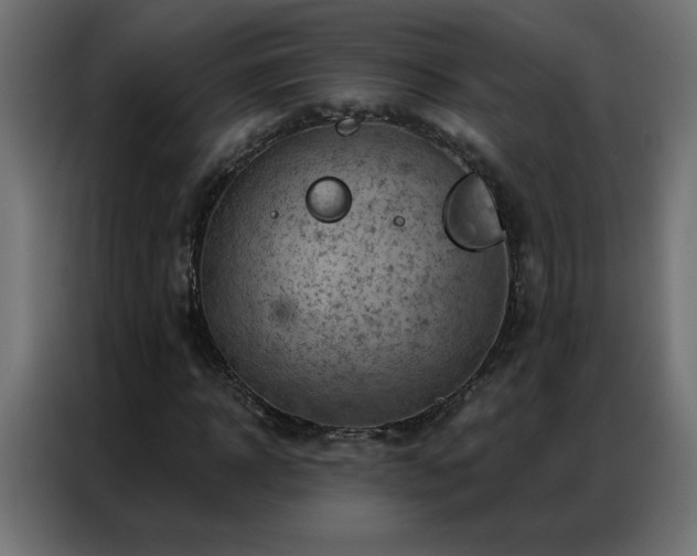 X0000087000918200704161521