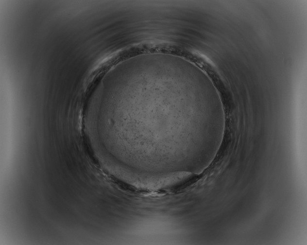 X0000087000919200704161521