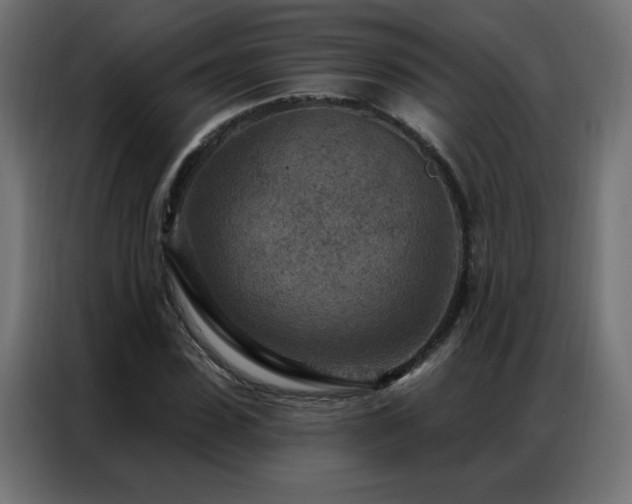 X0000087000923200704161521