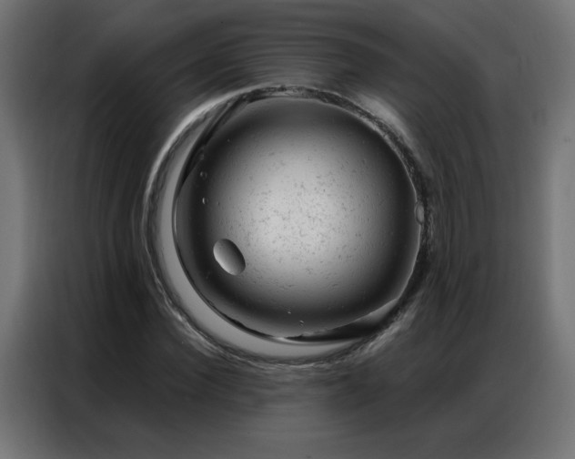 X0000087000924200704161521
