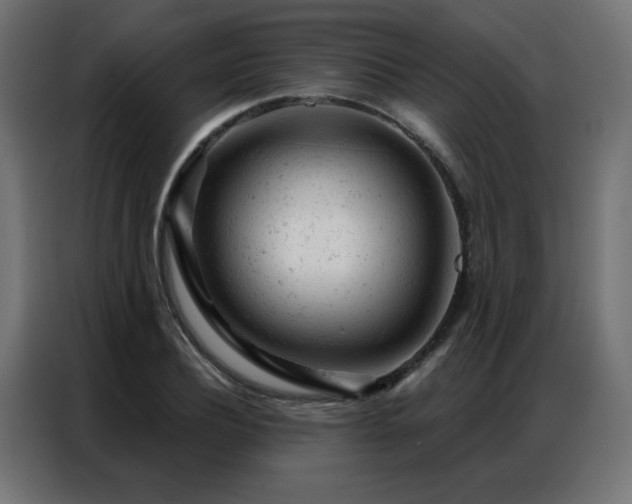 X0000087000932200704161521
