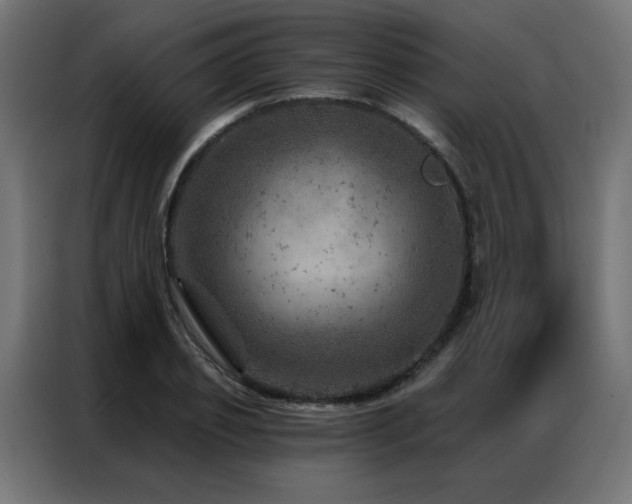 X0000087000933200704161521