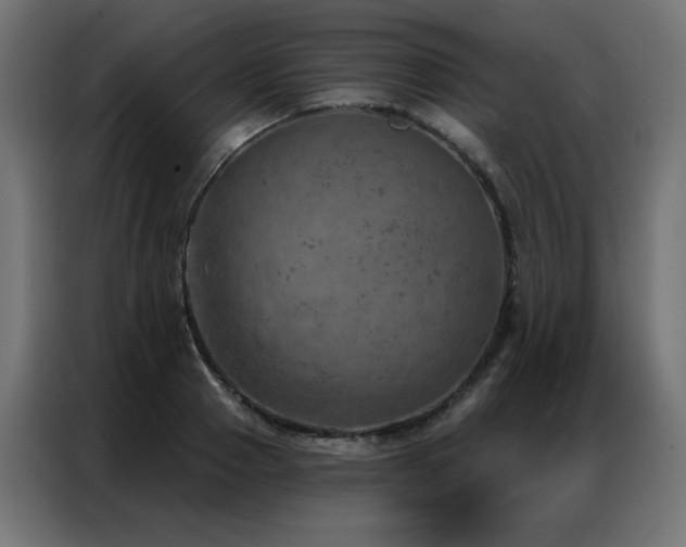 X0000087000937200704161521
