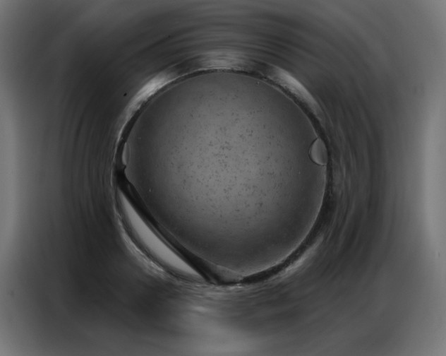 X0000087000938200704161521