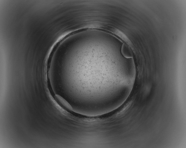 X0000087000939200704161521