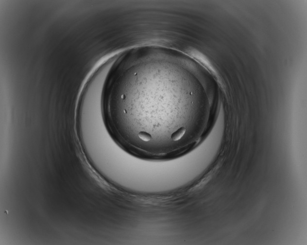 X0000087000940200704161521
