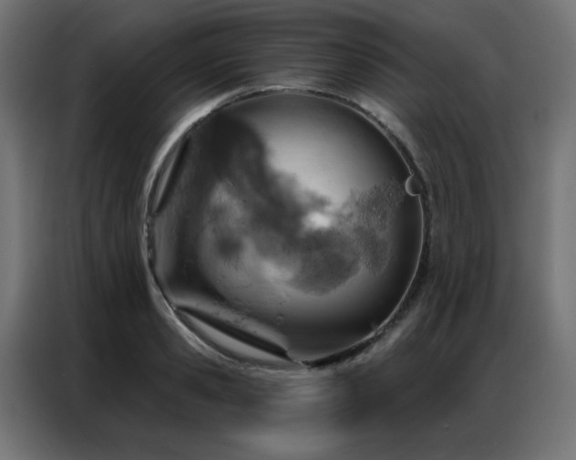 X0000087000941200704161521