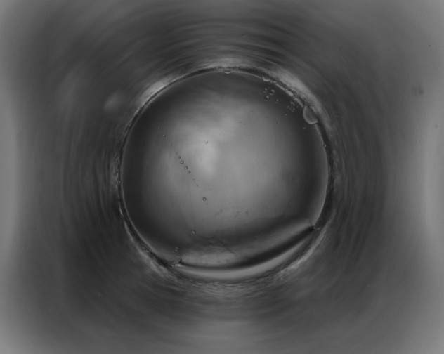 X0000087000945200704161521