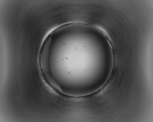 X0000087000952200704161521