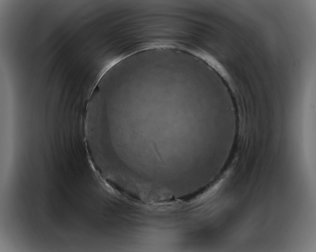 X0000087000953200704161521