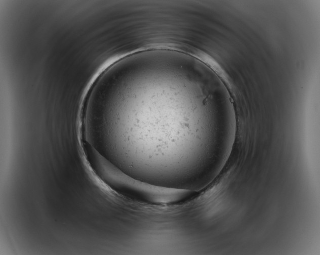 X0000087000955200704161521