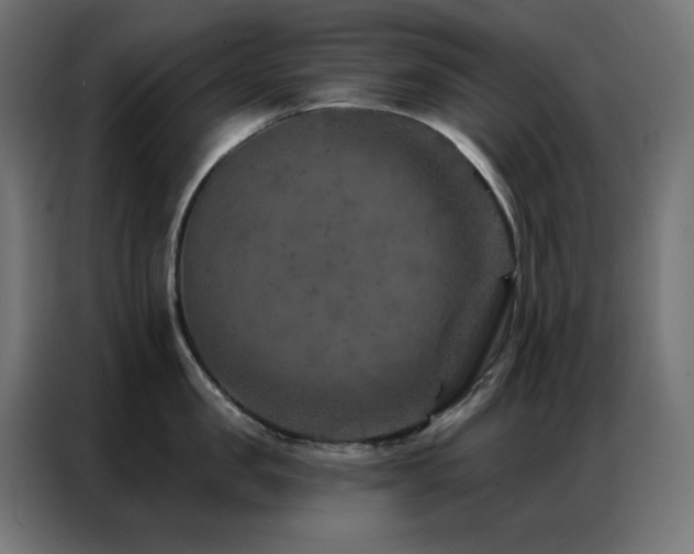 X0000087000957200704161521