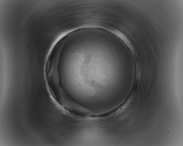 X0000087000958200704161521
