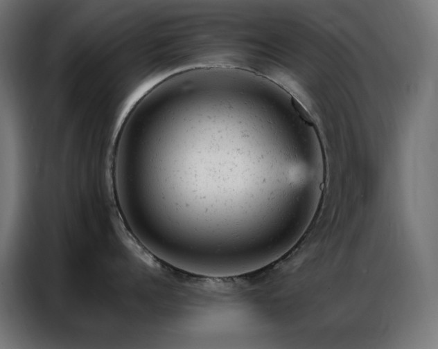 X0000087000960200704161521