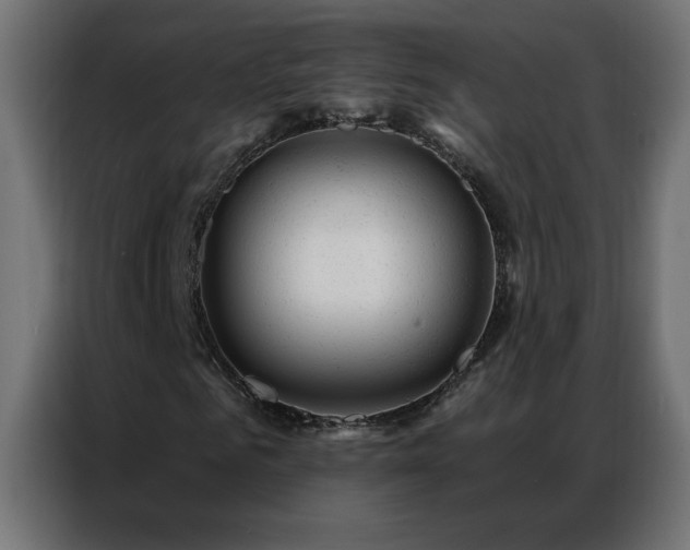 X0000087000961200704161521