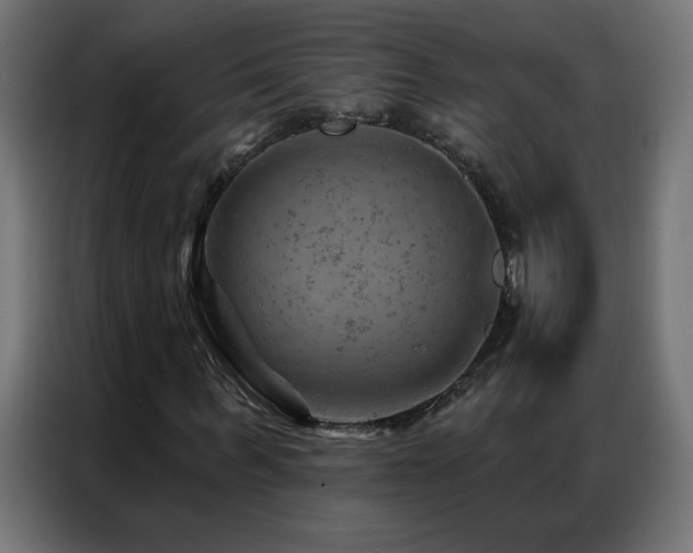 X0000087000963200704161521