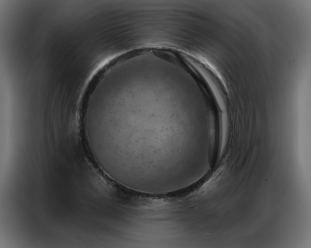 X0000087000975200704161521
