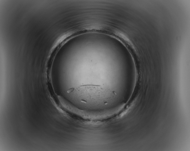 X0000087000978200704161521