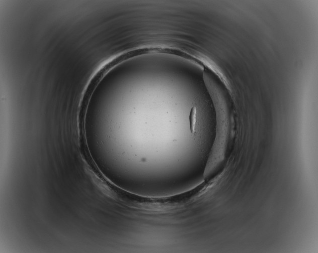 X0000087000980200704161521