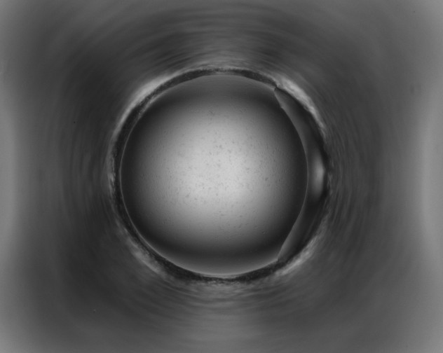 X0000087000981200704161521