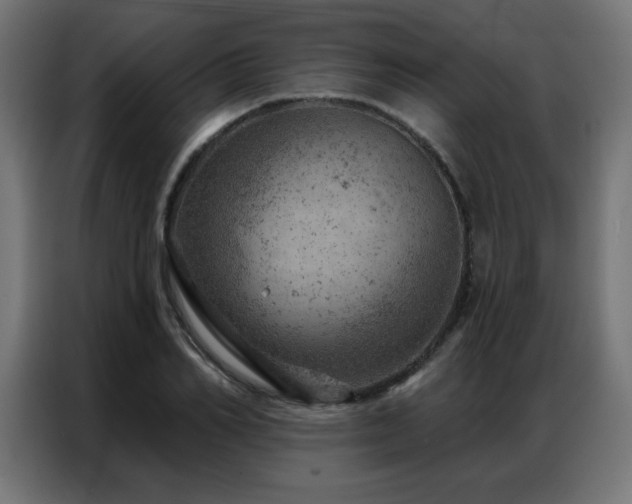 X0000087000982200704161521