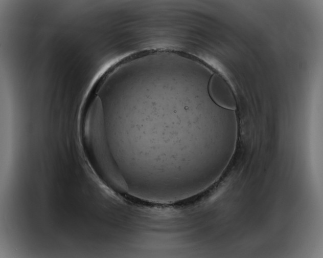 X0000087000983200704161521