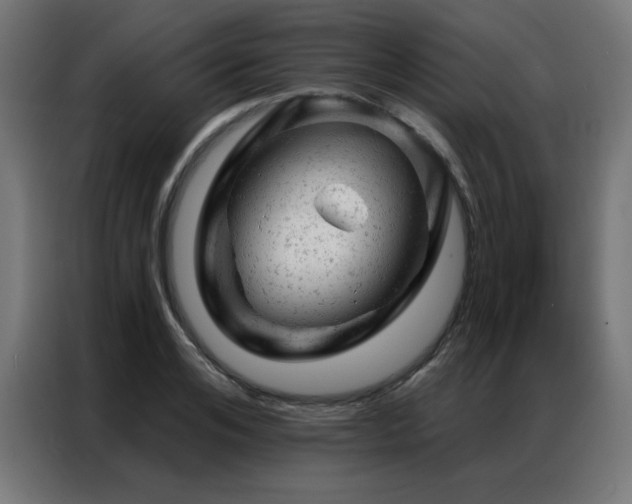 X0000087000984200704161521