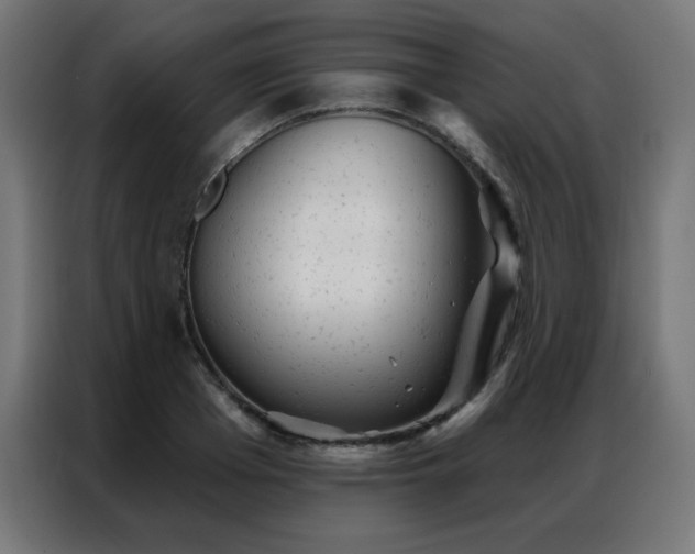 X0000087000985200704161520