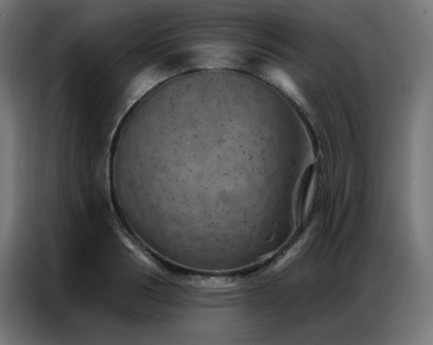 X0000087000986200704161520