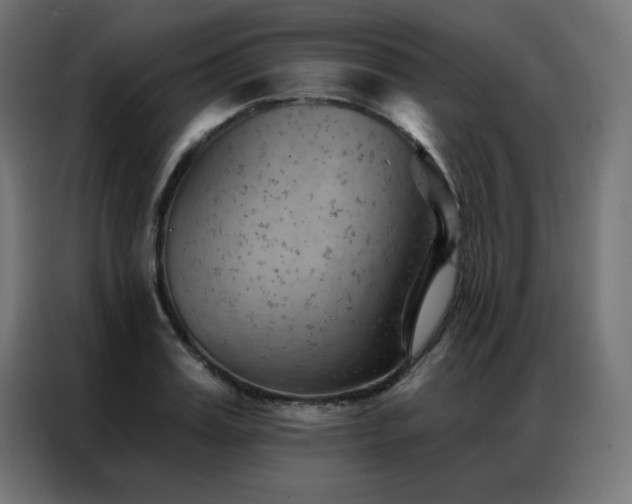 X0000087000987200704161520