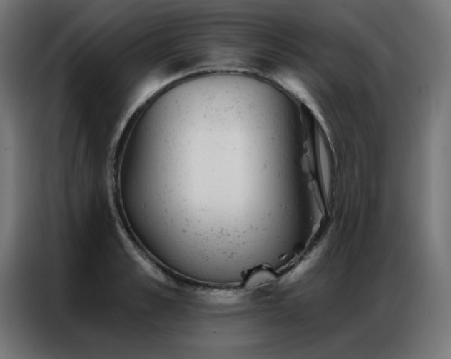 X0000087000989200704161520