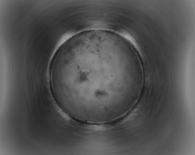 X0000087000990200704161520