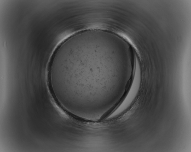 X0000087000991200704161520