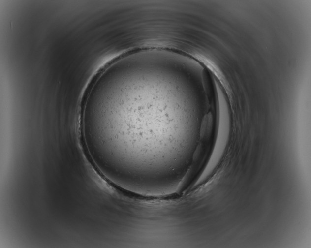 X0000087000992200704161520