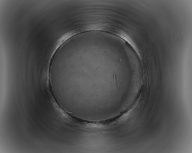 X0000087000994200704161520
