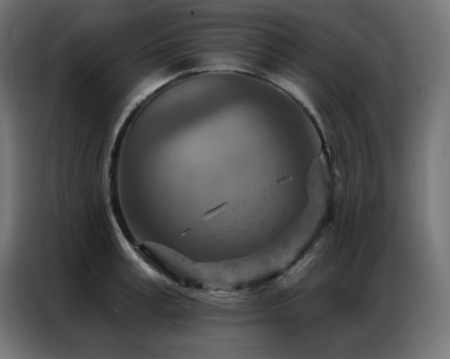 X0000087000995200704161520