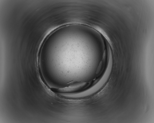X0000087000996200704161520
