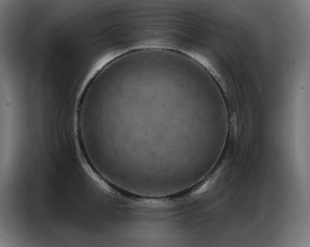 X0000087000998200704161520