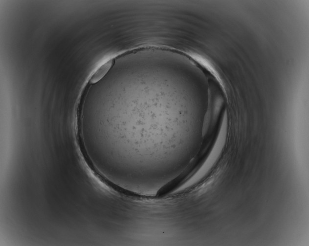 X0000087000999200704161520