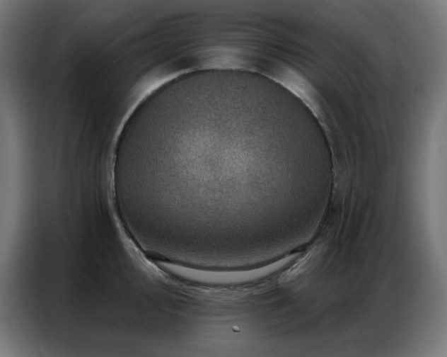 X0000087001000200704161520