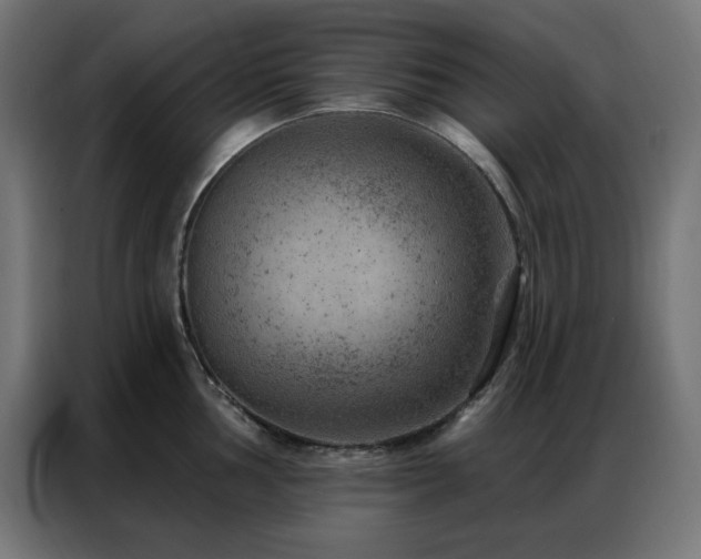 X0000087001002200704161520