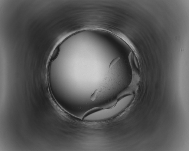 X0000087001004200704161520