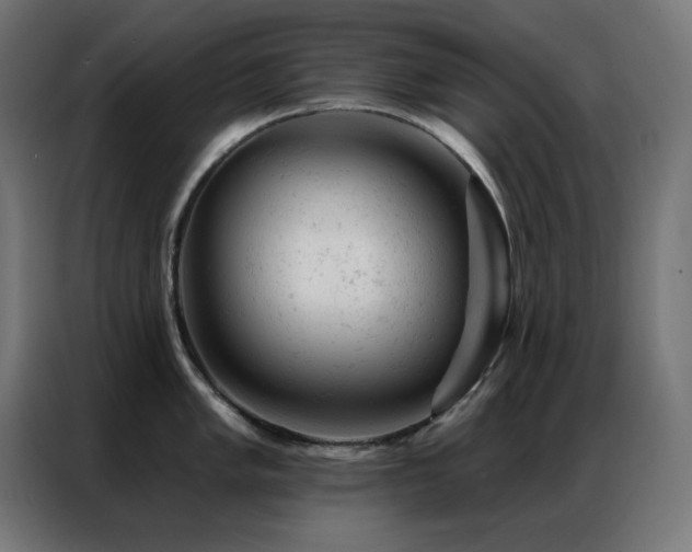 X0000087001005200704161520
