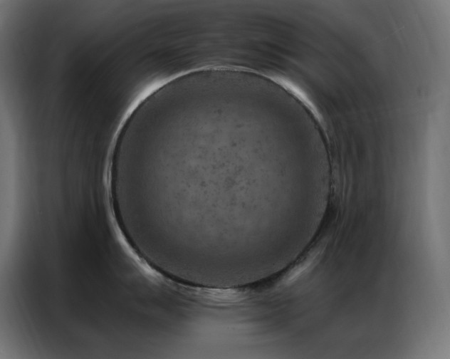 X0000087001007200704161520
