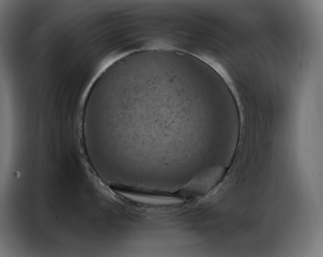 X0000087001008200704161520