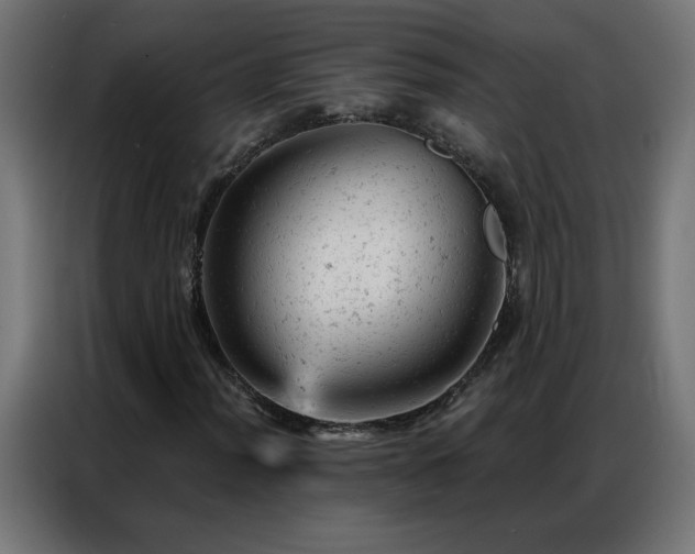X0000087001012200704161520