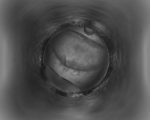 X0000087001013200704161520