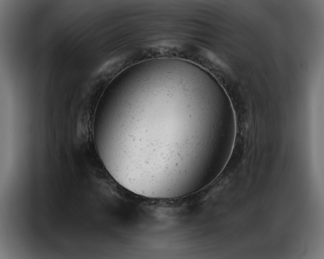 X0000087001014200704161520
