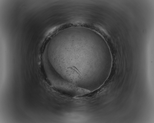 X0000087001016200704161520